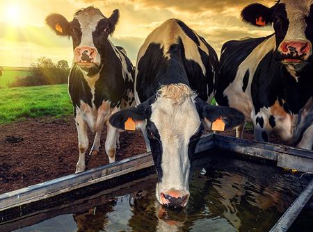 2021LivestockUpdatesWeb 2021LivestockUpdatesWeb