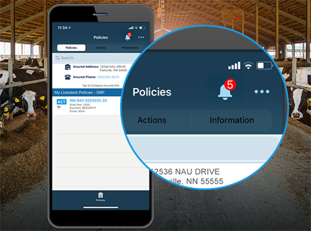 DRP_PriceAlerts_Web DRP_PriceAlerts_Web