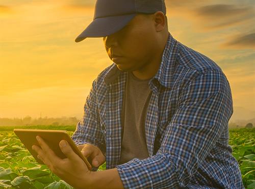 UnderservedProducers_Web UnderservedProducers_Web