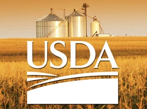 USDAABSTRACTYELLOW USDAABSTRACTYELLOW