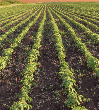 NAU EASYrev Field RPowerD made easy, exclusively offered through NAU Country.