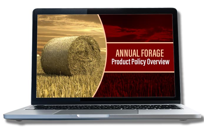 Annual Forage - Product Policy Overview in a labtop computer