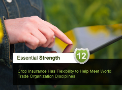 12 reasons why crop insurance is essential