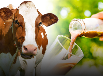 ChocolateMilk_webAprilFools ChocolateMilk_webAprilFools