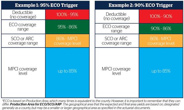 ECO_Chart_Centered