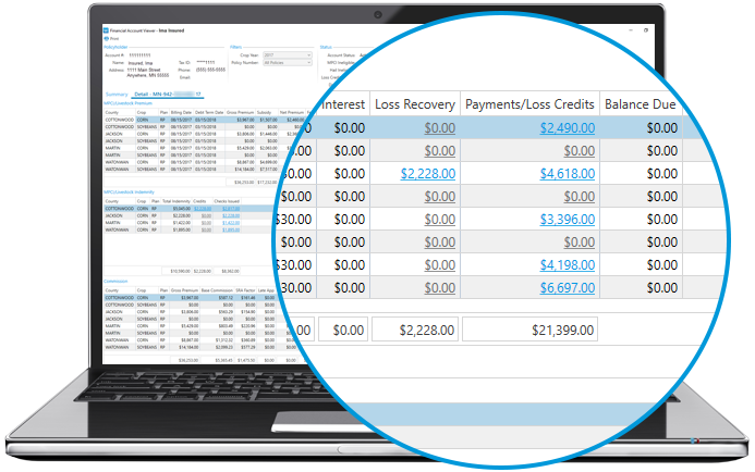 Financial Account Viewer
