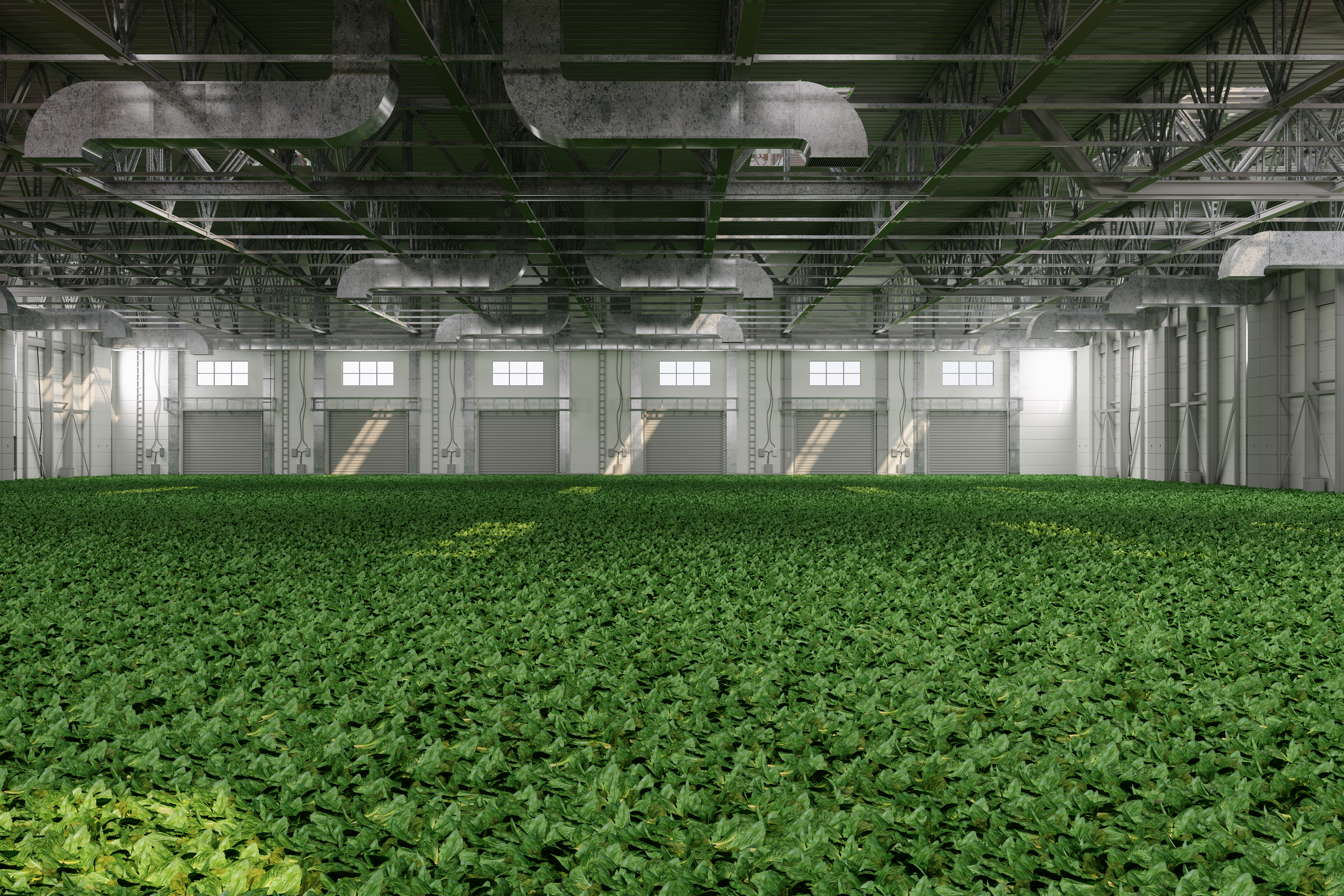 GettyImages-1953274181