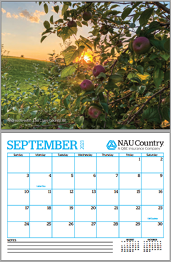 ExpCalendar2024 ExpCalendar2024