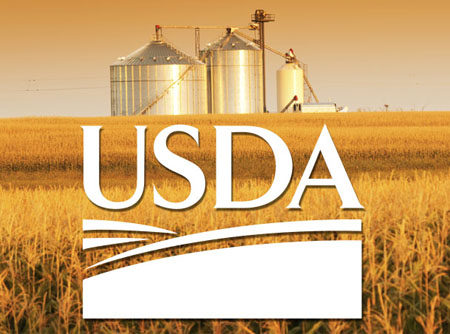 U.S. Department of Agriculture (USDA) logo on a fall corn background