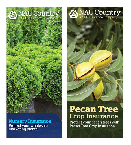 Nursery and Pecan Tree Brochures Nursery and Pecan Tree Brochures