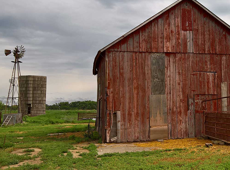 Farm Bill Strengthens Crop Insurance 