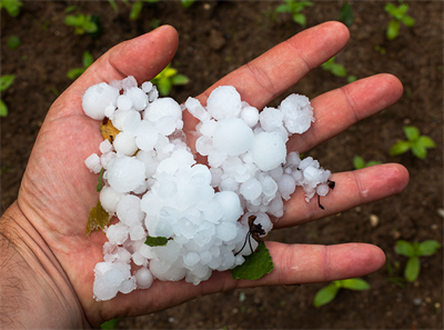 Hailprobability Hailprobability