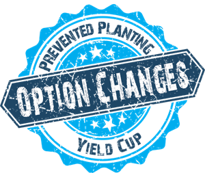 Option Changes