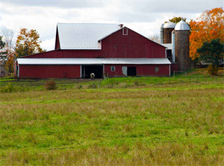 Why Crop Insurance Matters Why Crop Insurance Matters