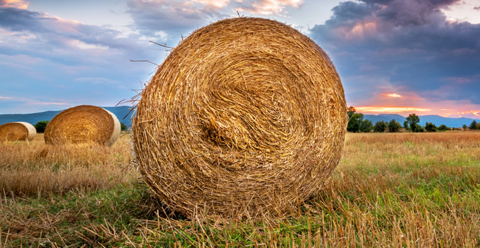 Large hay bale sitting in a field with mountains, pine trees, and heavy clouds appear to be rolling in.